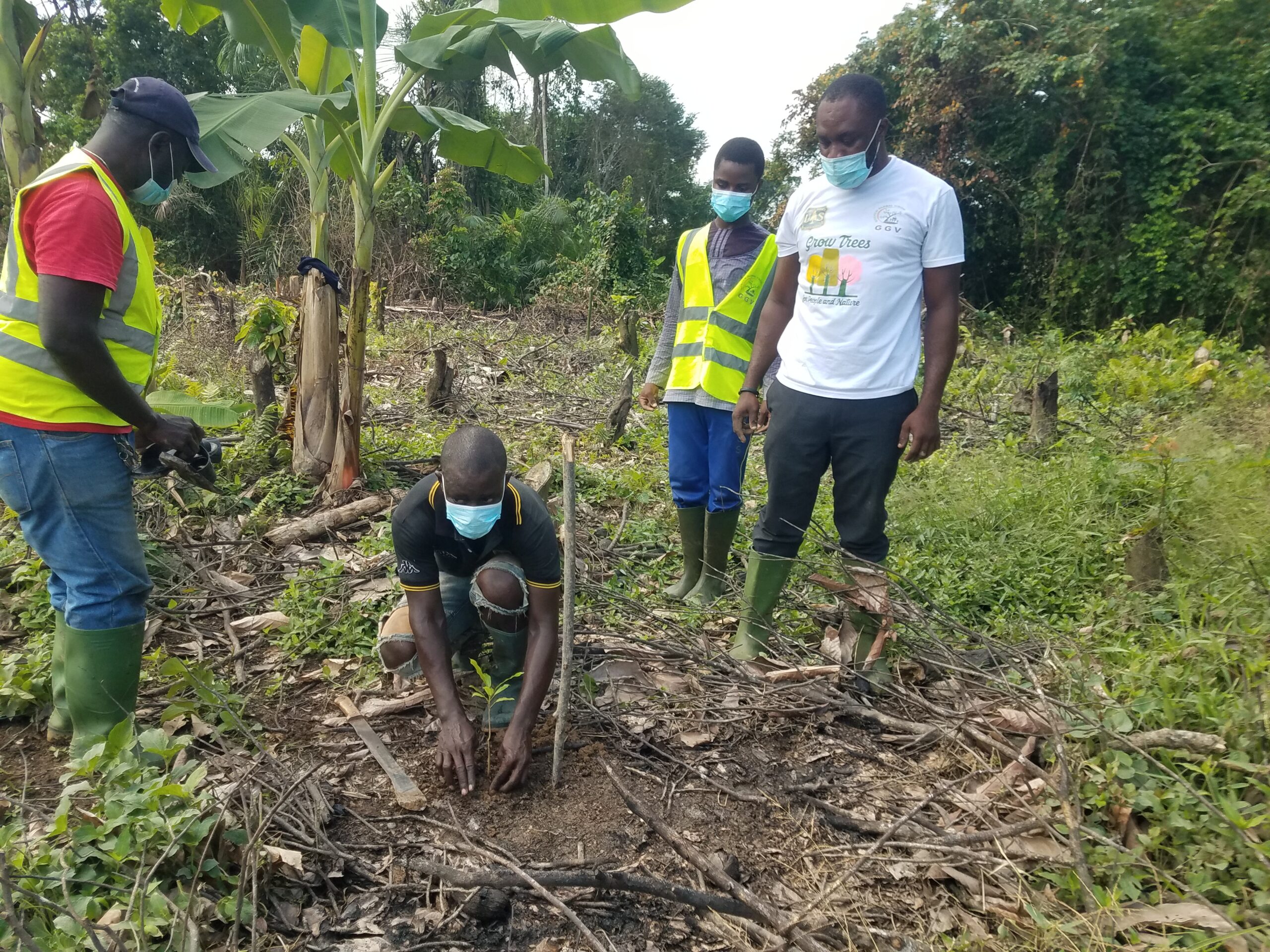 Planting for Community Reafforestation Project