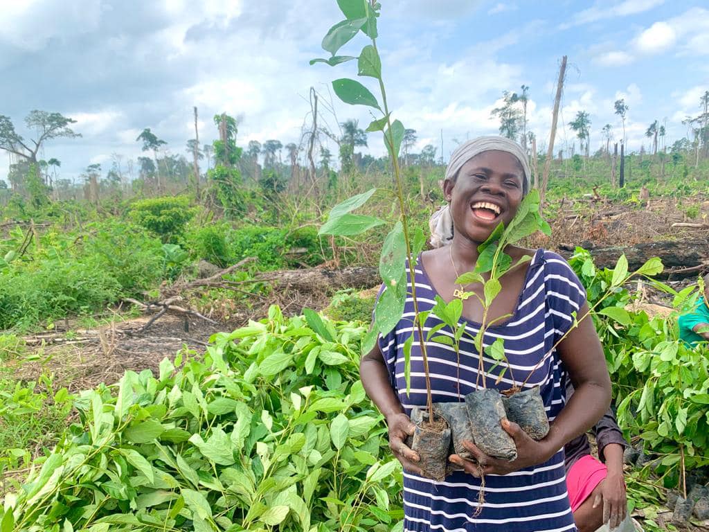 International Day of Forest