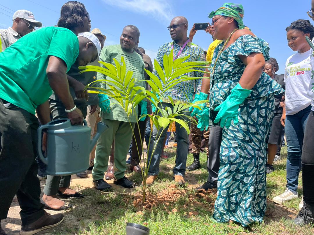 Donation of 2,500 Seedlings for Green Ghana 2023