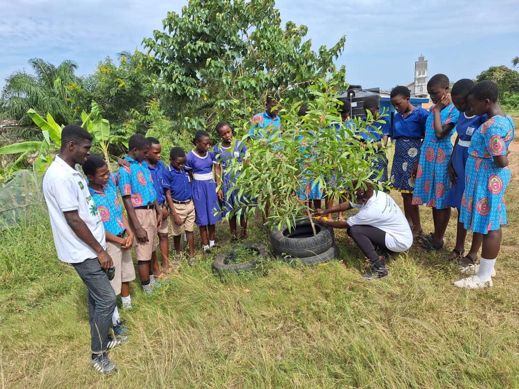 Monitoring on Urban Forestry with participating students from Adiembra Senior High School, Shama Senior High School, St. Mark Anglican Basic School, Effia Methodist Basic School and Assakae Whindo Basic School